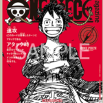 Monkey.D.Luffy Promo -Magazine Promo Japanese